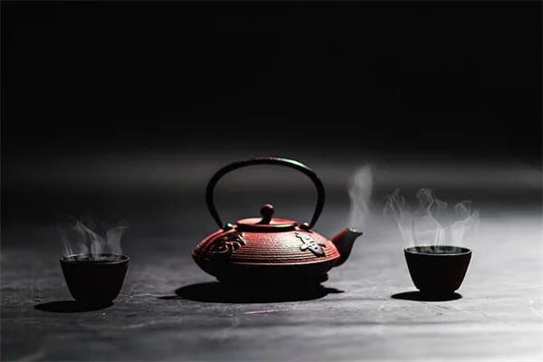 砂漠の樹木の選び方と育て方｜プロが教える失敗しない5つのコツ