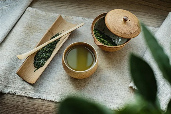 初霜日に庭師が知っておくべき基本とやるべき作業