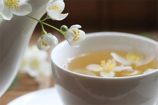 花の病害虫、症状からの診断と対策を5つのポイントで解説